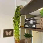 Acropole Studio - Habitarte - Shopping Morumbi - Vila Olimpia - Berrini